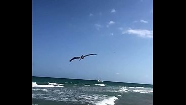 Maxxx Loadz At The Beach Enjoying Nature