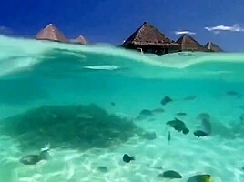 Melisa mendiny hot tropical sea