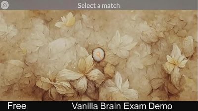 Vanilla Brain Exam Steam Demo Game Match 3 Adult
