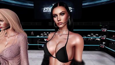 Virtual Wrestling Entertainment Vwe Sunday Endurance