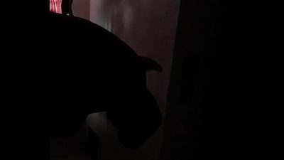 Hmong guy fucking chinese massage girl on hidden camera