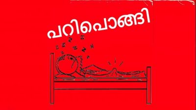 Viral music album troll video malayalam pari pongi